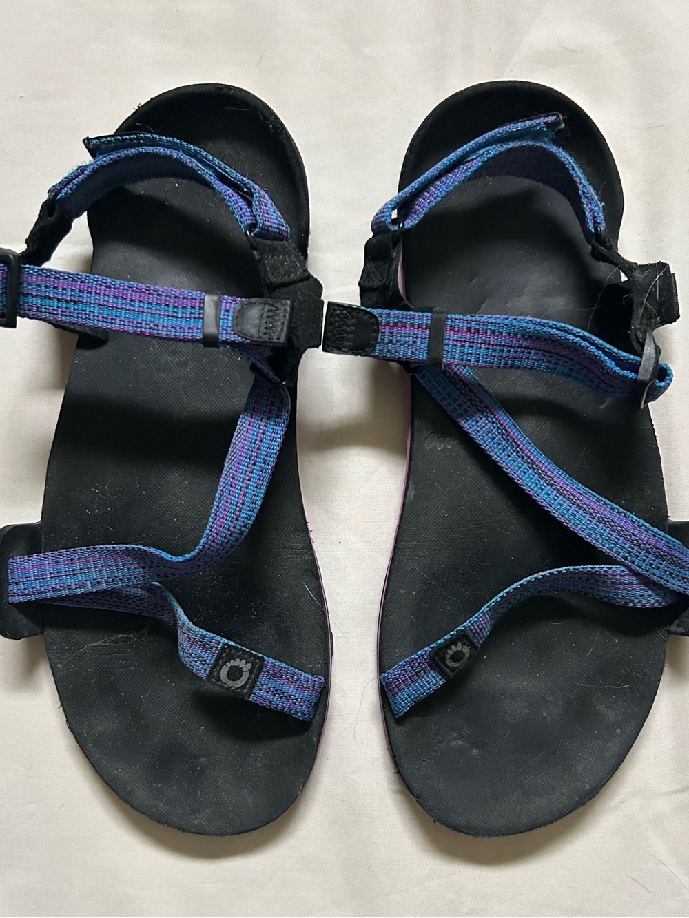 Xero Shoes Z-Trail EV Women’s Sandals in Blue-Purple